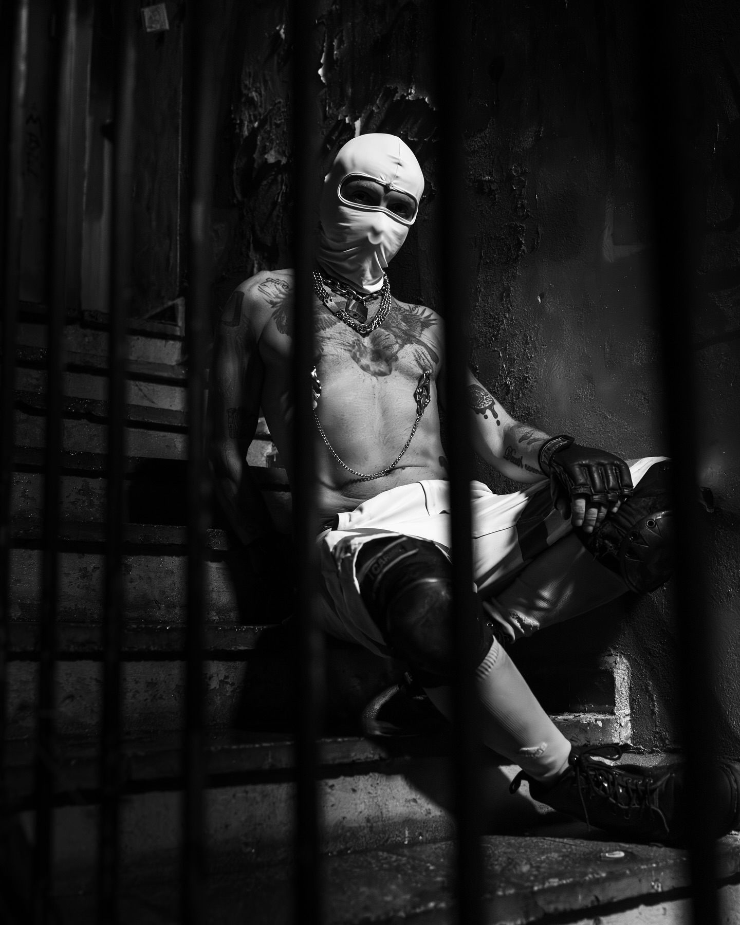 Falko frame 01 — PUP