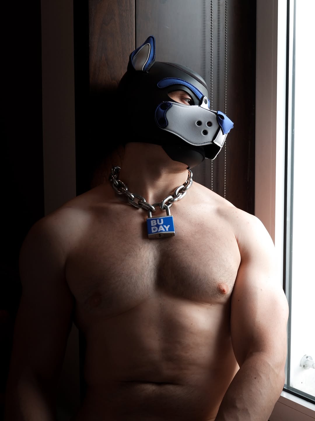 Falko frame 06 — PUP